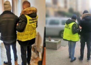 Польскія памежнікі