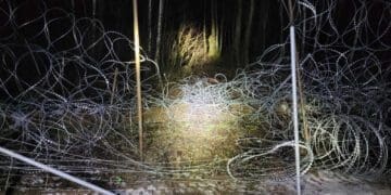 границу Беларуси и Польши пытались перейти 72 нелегала