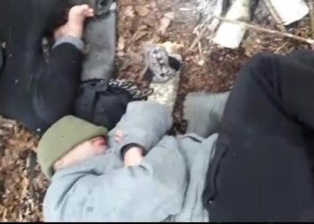 на мяжы захраслі пяцёра мігрантаў