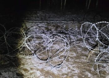 нелегальнага перасячэння мяжы