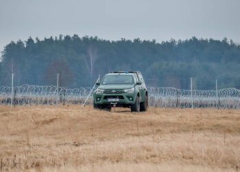 нелегальных мігрантаў