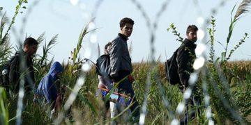 Семья иракцев попросила убежища в Польше, а потом пропала без вести