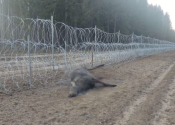 пограничники