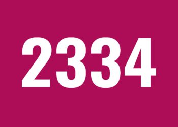 университет