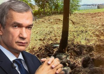 Павел Латушка