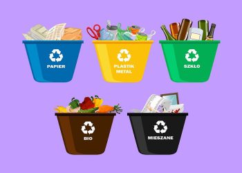 как сортировать мусор