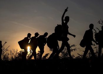 перевозка мигрантов