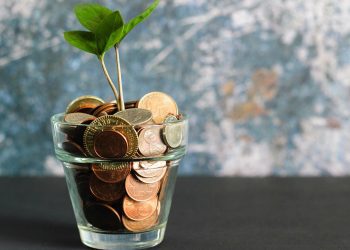 Экономист Лев Львовский