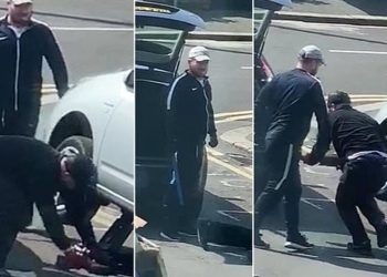 катализатор