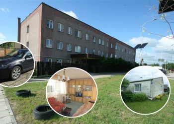 Что продают с аукционов