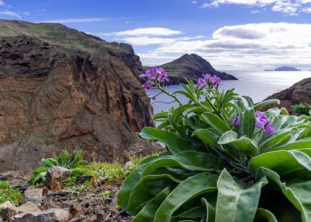 курсы английского