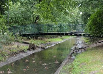 рака белая ў беластоку