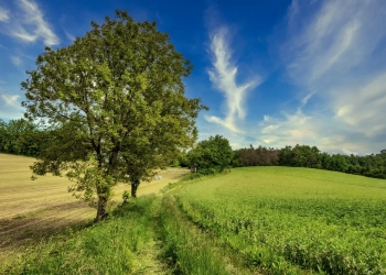 куда сходить