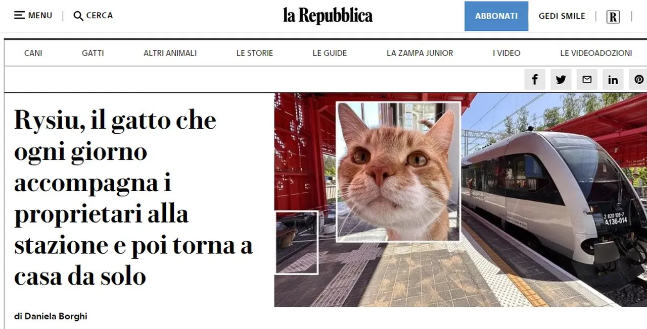 Рысю в итальянской прессе