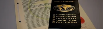 паспорт мира