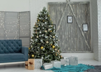 где купить елку в Польше