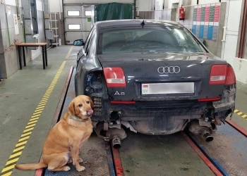 глушитель Audi