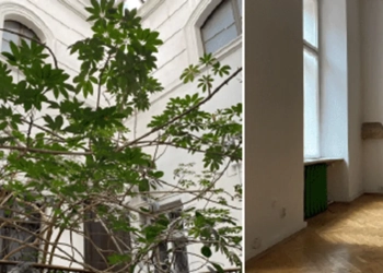 беларусы Кракова