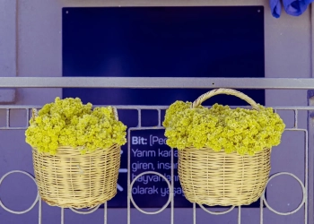 куда сходить в Варшаве