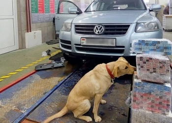 сколько сигарет можно ввезти в Польшу