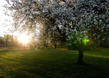 карта Варшавы