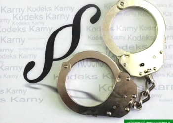 предъявили обвинение в Польше