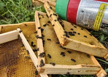 королевский дворец в Варшаве