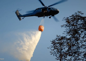 лесной пожар в Польше