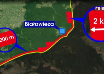 туризм в Беловежской пуще