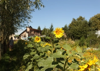 Маленькая Беларусь у Польшчы