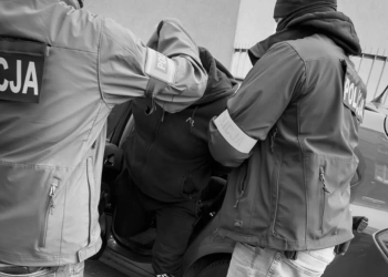 легализация иностранцев в Гданьске