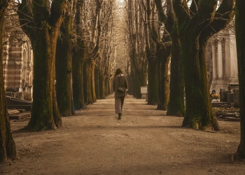 найти родственников в Польше