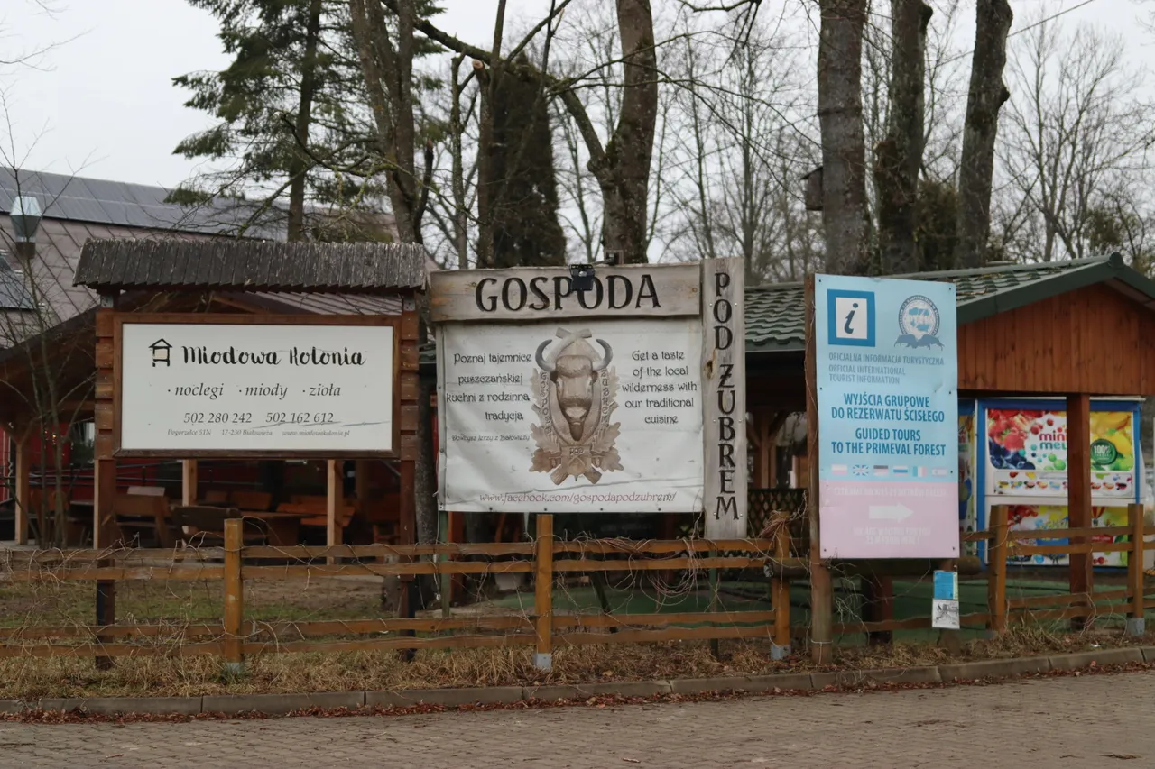Беловежская пуща