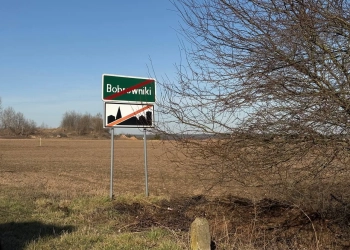 Бобровники