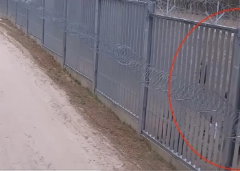 инцидент на границе Беларуси и Польши