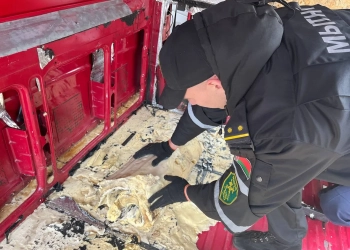 взрывчатка