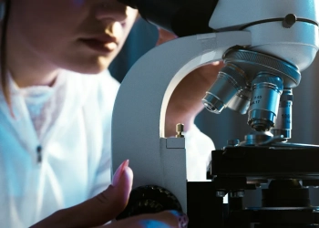 ВНЖ в Польше