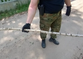 мигранты атаковали пограничников