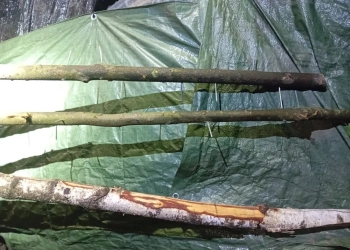 Мигранты на беларусско-польской границе мастерят дорожные шипы и бросают под колеса машин пограничников