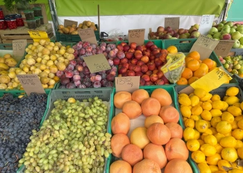 фермерские ярмарки в Польше