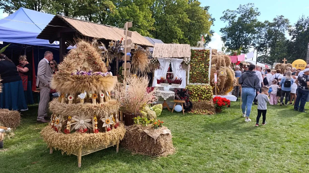 Дожинки в Польше