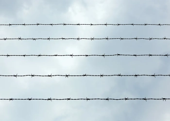 кого освободили