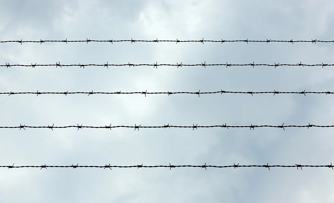 кого освободили