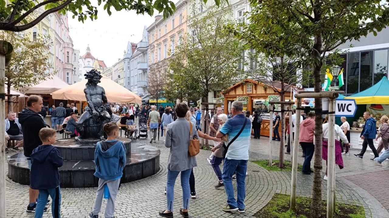 фестываль віна