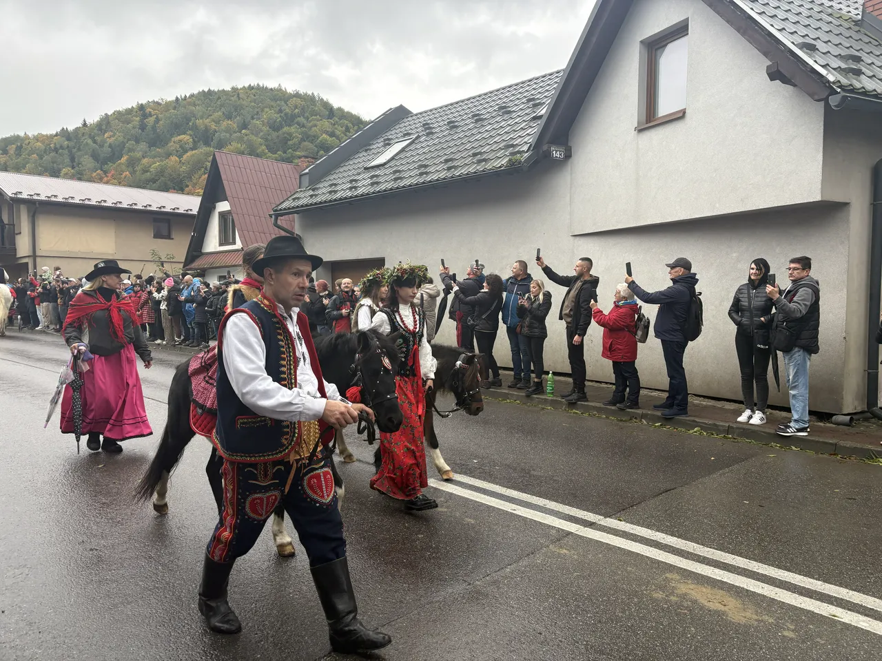 Осенний редык в Щавнице