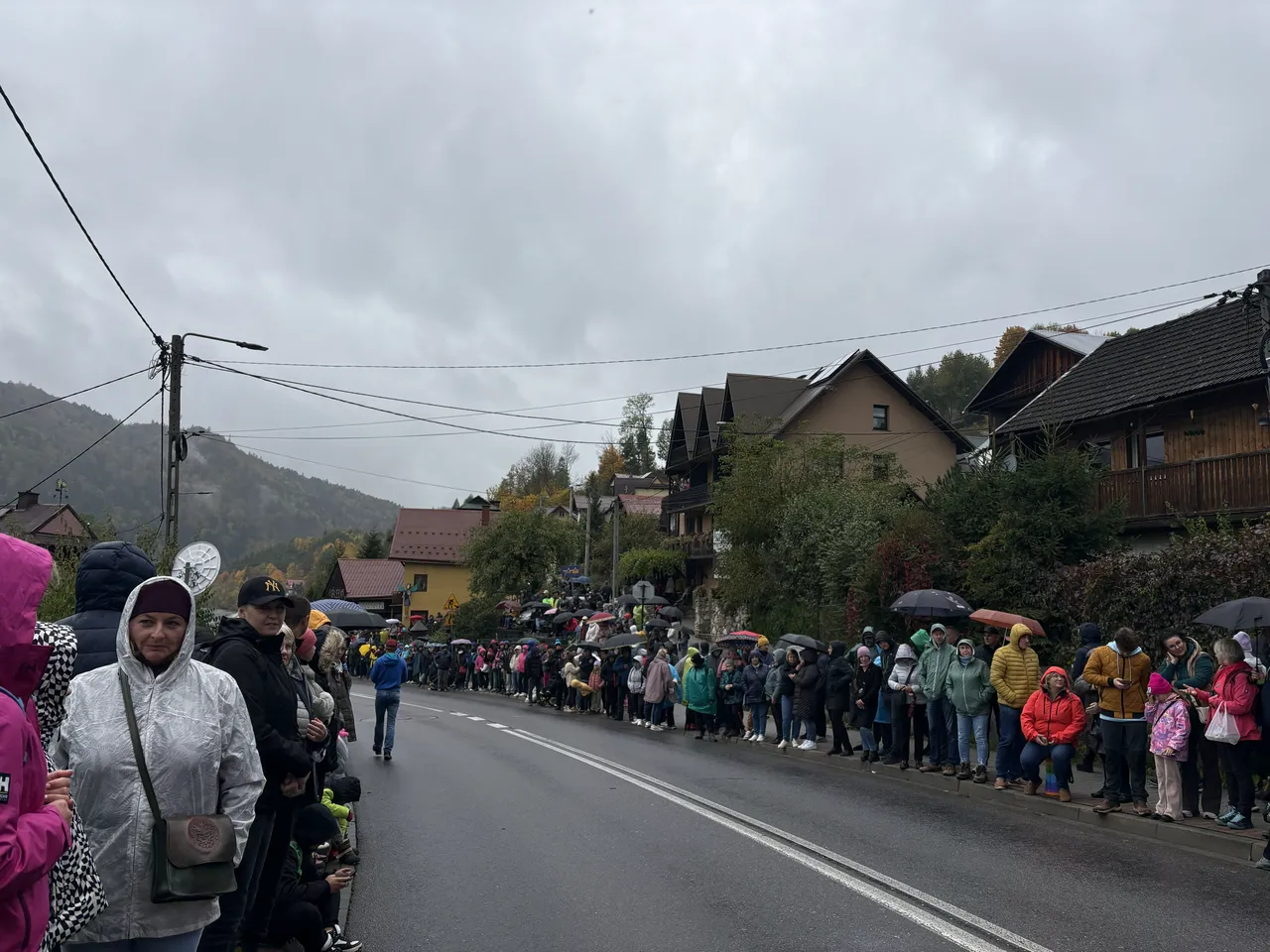 В ожидании овец