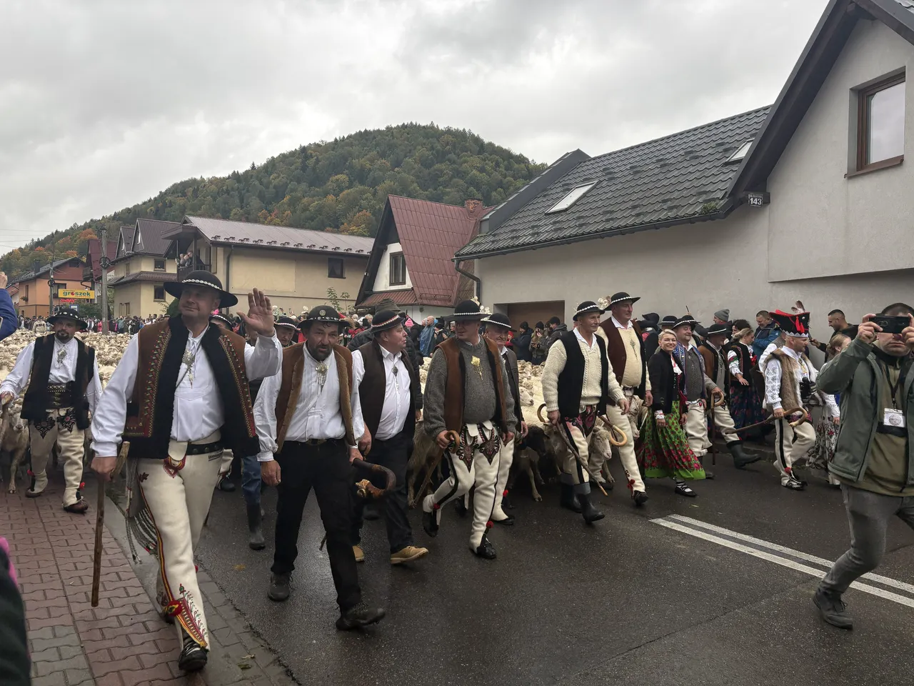 Осенний редык в Щавнице