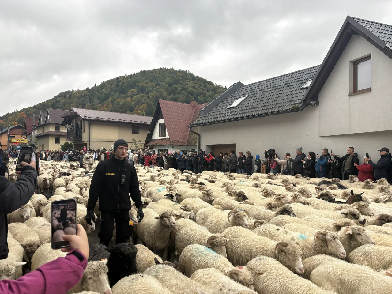 Осенний редык в Щавнице