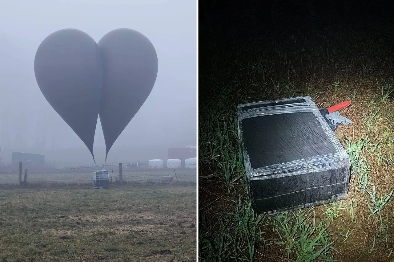 посылки в Польше