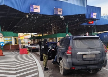 Бобровники